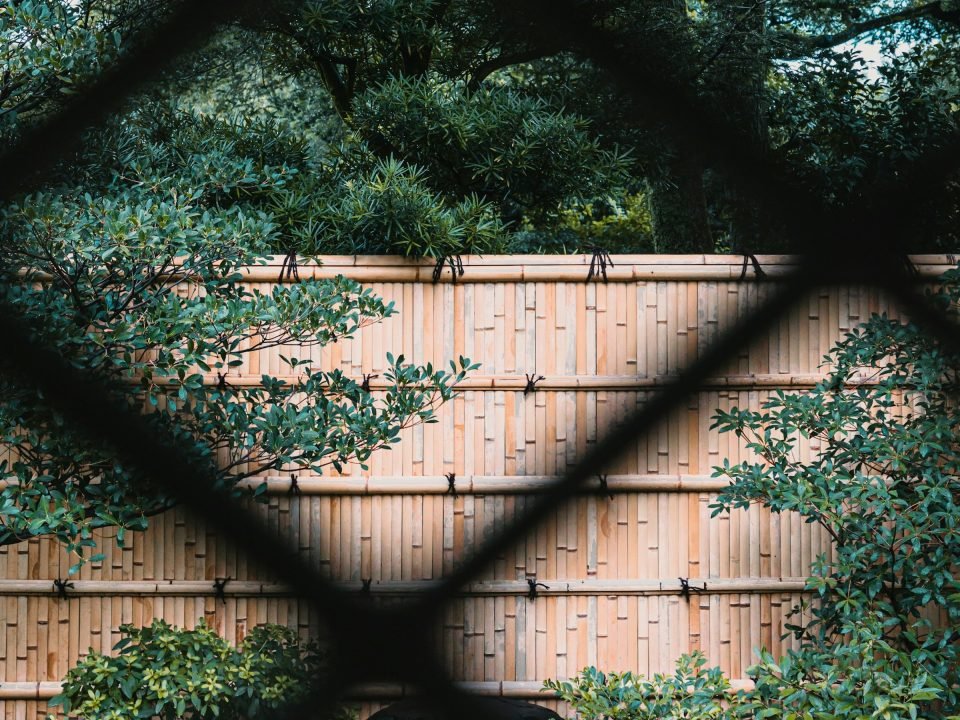 Bamboo fence in a Japanese-style garden, seen through a lattice screen