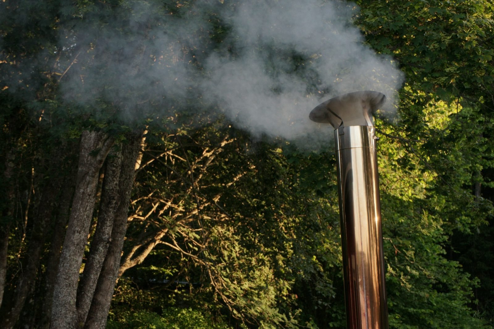 Smoke rising from a tall stainless steel flue among garden trees